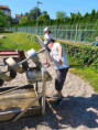 /album/vodni-radovanky-a-sladke-rozlouceni-se-skolnim-rokem-2025-2026/vm-8-jpg/